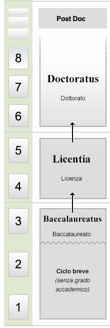 qf-ciclo-grado qf-ciclo-grado